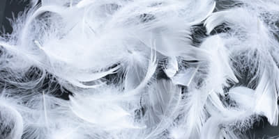 羽毛布団のお手入れアドバイス